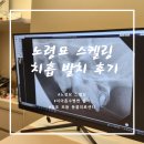보듬동물병원 | 노령묘 동물병원 추천 / 김포 &#34;보듬 동물 의료센터&#34; 고양이 스켈링 및 발치 후기