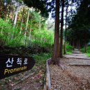 갈모봉산림욕장 이미지