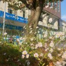 둔덕동 주민자치센터 이미지