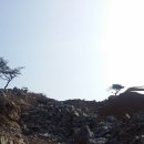 효자건강랜드 이미지