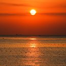 동백섬의 일출 이미지