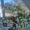 양평 다문초 3학년 이미지