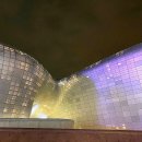동대문디자인플라자(DDP) 야경 이미지