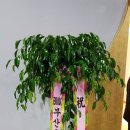 베스티호텔 이미지