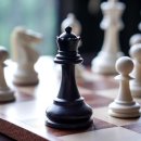 체크메이트 이미지