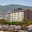 이랜드파크 켄싱턴리조트 지리산남원 이미지