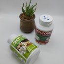 한방쑥사우나 이미지