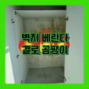 엘타워 2차 오피스텔 진입로 | 벽지 베란다 화장실 싱크대 곰팡이제거 전문