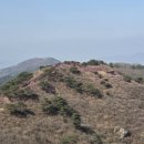 GS25 마니산점 | [고려산] 2026년 4월 4일(첫째주) 진달래 개화 상황(마니산까지!)