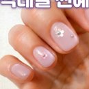 네일레쉬