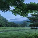 고려신용정보강북지사 네이버블로그