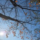 아침풍경 이미지