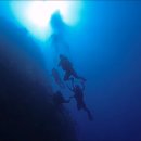 14년 여름 필리핀 보홀 발리카삭 스쿠버다이빙 일주 이미지