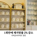 바디엣지랩 | 천안 다이어트 샵 진짜 빠질까? 불당동 가비온다이어트 엣지 슬리밍 전후 찐 후기