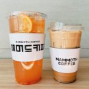 매머드익스프레스사천카이점 네이버블로그