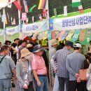 함양산삼사랑 이미지