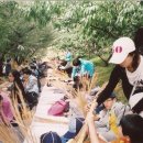 이천농업농촌테마공원 네이버블로그