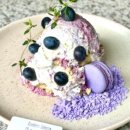 강남-235 이미지