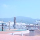 신동아항공여행사