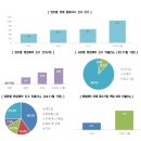 사이버리질리언스