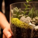 테라리움 이미지