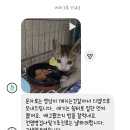 폐허속에 작은 생명이 이미지