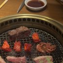 씨모아씨씨