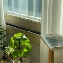 예삐마켓 이미지