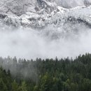 모자목장 이미지