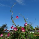 도화동산 이미지