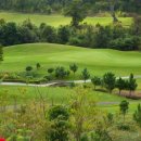 더 좋아 골프 이미지