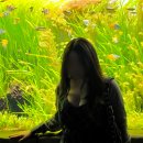 [서울여행] 잠실 아쿠아리움/롯데월드 아쿠아리움 (with 쿠키런) 후기