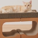 캣 팰리스 이미지