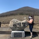 곰배령끝집 | 천상의 화원 곰배령 예약방법,일정,등산코스