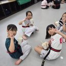 경희대장하태권도 이미지