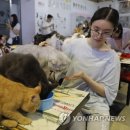 CATS TIME CAFE 이미지