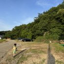 공주마리농장 | [세종 근교 아이랑] 6월 한정 공주 새터농장 산딸기체험! 1팩 9천 원 역대급 가성비 (복장 팁, 주소...