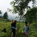 고산돌맹마을 이미지