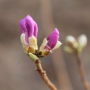 지리산털보농원 이미지