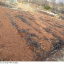 여의동농장 이미지