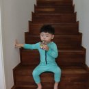 스테이_외포
