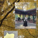 구 루 미 | [北京] 카우룽 카우룽: 11월 일상