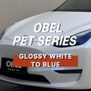 더블유피 | 광진랩핑 테슬라 랩핑 OBEL GLOSSY WHITE TO BLUE 글로시 화이트 투 블루 전체랩핑 후기