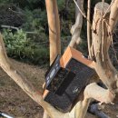 신약개론ㅡ베드로전,후서(한마음침례교회 ㅡ김문수 목사) 이미지