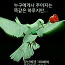옳음 이미지