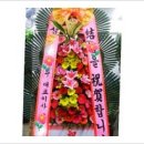 하단2동-16 이미지