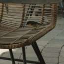 조에트리 | 퀴라소 하얏트 조에트리 리조트 앤 스파 후기 Hyatt Zoëtry Curaçao Resort & Spa