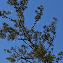 안중근공원 이미지