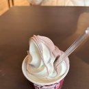 (유)류가투어 | [삿포로여행 DAY2] 오타루 샤코탄 투어 시마무이 해변 가무이곶 오타루 오르골당 시로이코이비토파크
