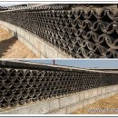 수원-0671 | 정조대왕의 걸작 '수원화성'을 걸어보다